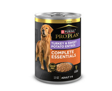 Purina Pro Plan Wet Dog Food, Classic Turkey and Sweet Potato Entr e, 13 oz 12