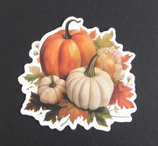 White  Orange Pumpkins In Leaves Fall Thanksgiving Sticker 2.25" AB 