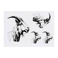 4 x 'goat' Temporary Tattoos / Transfers TO00062488