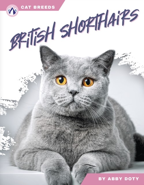 British Shorthairs by Abby Doty (Paperback Book)