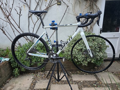Giant TCX