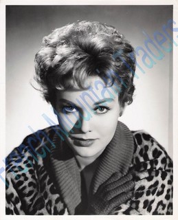 17 Movie Stills & Pubicity Photos 8x10" Kim Novak Bell Book and Candle 26A57