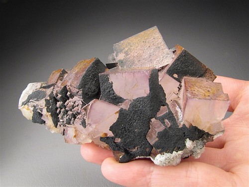 Fluorite Crystals, El Hammam Mine, Morocco - Picture 4 of 7