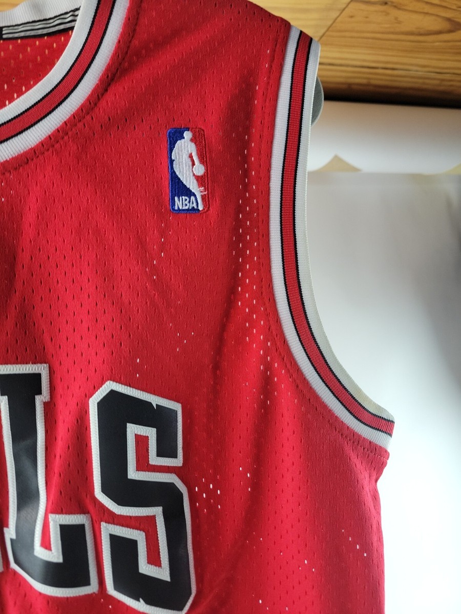 NBA Adidas Chicago Bulls Kirk Hinrich Jersey 12 Mens Large