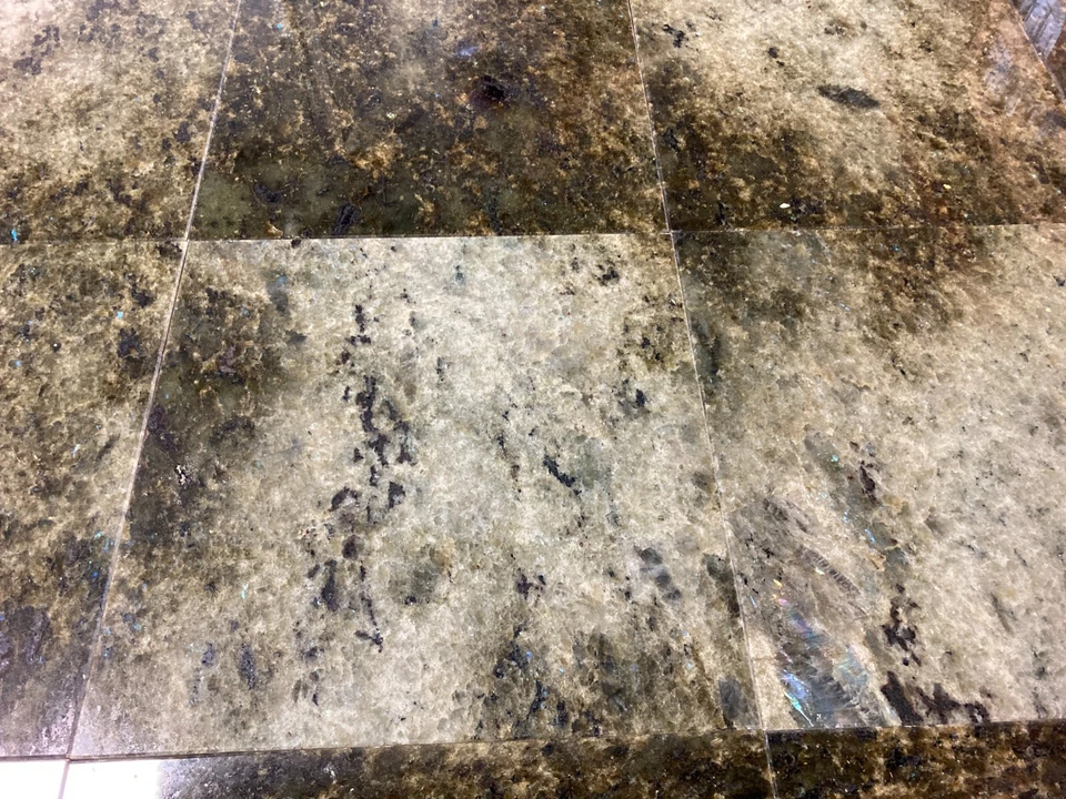 Remodelación de ducha de baño de granito verde coral marino 12x12 (10 pies cuadrados) T-99 Foto 4 de 4