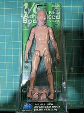 1/6 Scale DID All New Advanced Body Slim Version 2.0