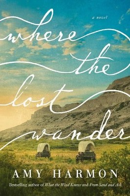 Amy Harmon Where the Lost Wander (Taschenbuch)