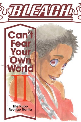 Bleach | Can't Fear Your Own World, Vol. 2 | Ryohgo Narita | Englisch | Buch