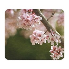 CafePress Cherry Blossom Flowers Mousepad  1168180438 