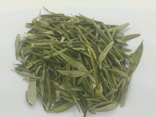 100% 30g Olive cut Leaf 🌿 dried loose herb NEW HARVEST 2026 📢 Tea/Infusions☕💊