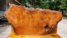 Gold AMBOYNA BURL LUMBER Live Edge Table Top Natural Slab Wood DIY Resin Epoxy
