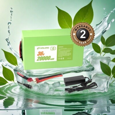 New 48v 20ah battery for 48V 1000W Battery pack with charger with BMS