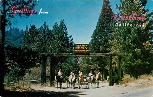 Pocztówka vintage; Crestline CA Camp Seeley Folks on Horses, San Bernardino Mts. - Zdjęcie 1 z 2