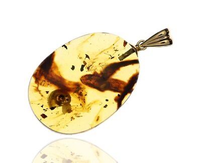 18k GOLD - Two Snails - Natural Burmese Amber Pendant with Fossil Inclusion
