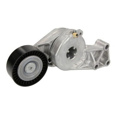 Riemenspanner, Keilrippenriemen Schaeffler INA 533 0076 30
