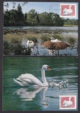 Romania #2047 1970 SWANS maximum cards (3)