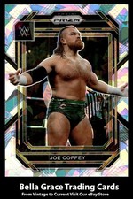 2023 Panini Prizm WWE Joe Coffey #110 NXT 2.0 Cracked Ice Parallel