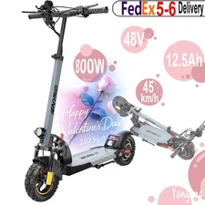 800W Electric Scooter 45km Range 10'' Off-Road Tires Foldable Design E-Scooters
