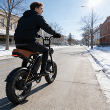 Electric Bike Fat Tire E-Bike Adults Off-road Bike Mountain Bike 28MPH 15.6Ah