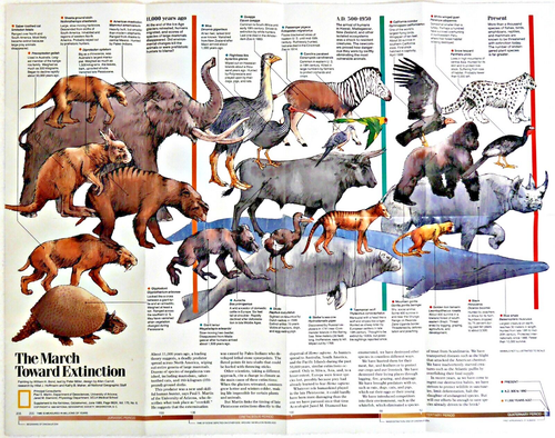 1989-6 National Geographic Map Animal MARCH TOWARD SPECIES EXTINCTION June (BA7) - Picture 2 of 3