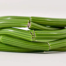 Elbow Venetian Green Trade Bead 38 inch