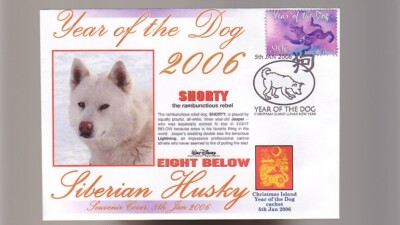 Siberian Husky 8 Below Year Of The Dog Cov Shorty 1