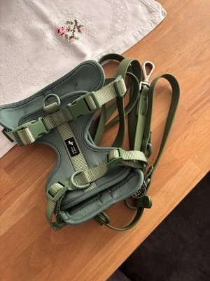 Set aus Geschirr und Leine  Woof & Wiggle 