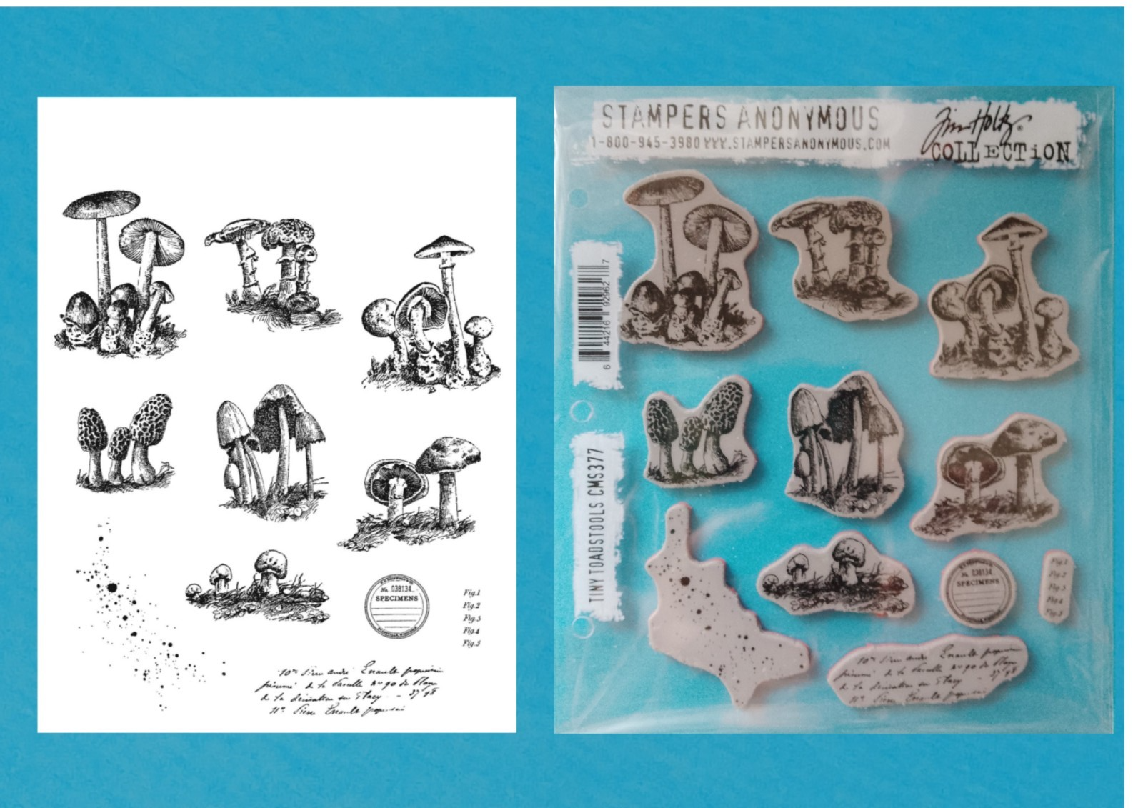 Tim Holtz Cling Rubber Stamps - Tiny Toadstools CMS377 - Image 2