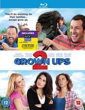Grown Ups 2 Blu-Ray (2013) Adam Sandler, Dugan (DIR) cert 12 Fast and FREE P & P