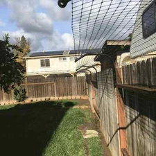 100' Cat Fence Conversion System