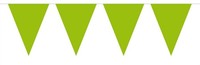 Folat Wimpelkette/Party-Dekoration, 10 Meter, Mit 15 FäHnchen, GrüN (Us Import)