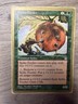 Spike Feeder 1998 Brian Selden (STH) World Championship Decks Moderately played