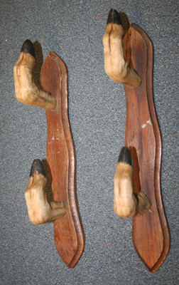 Peitschen-/Erntenregal mit Hirschfußhaken zur Wandmontage