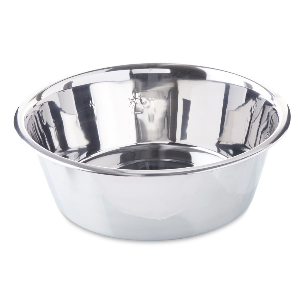Vibrant Life Stainless Steel Dog Bowl, X-Large, 304 Fl Oz | eBay