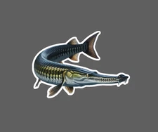 Alligator Gar Sticker Fish Outdoor Nature Wildlife Gift Waterproof NEW
