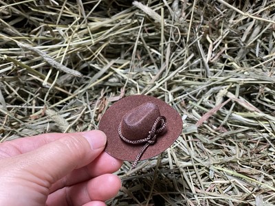 CalCastle Craft 12pcs Mini Cowboy Hat Western Wedding Favors