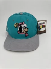 1993 American Needle Toons Block Head Snapback Hat -Dum Dum Deadstock