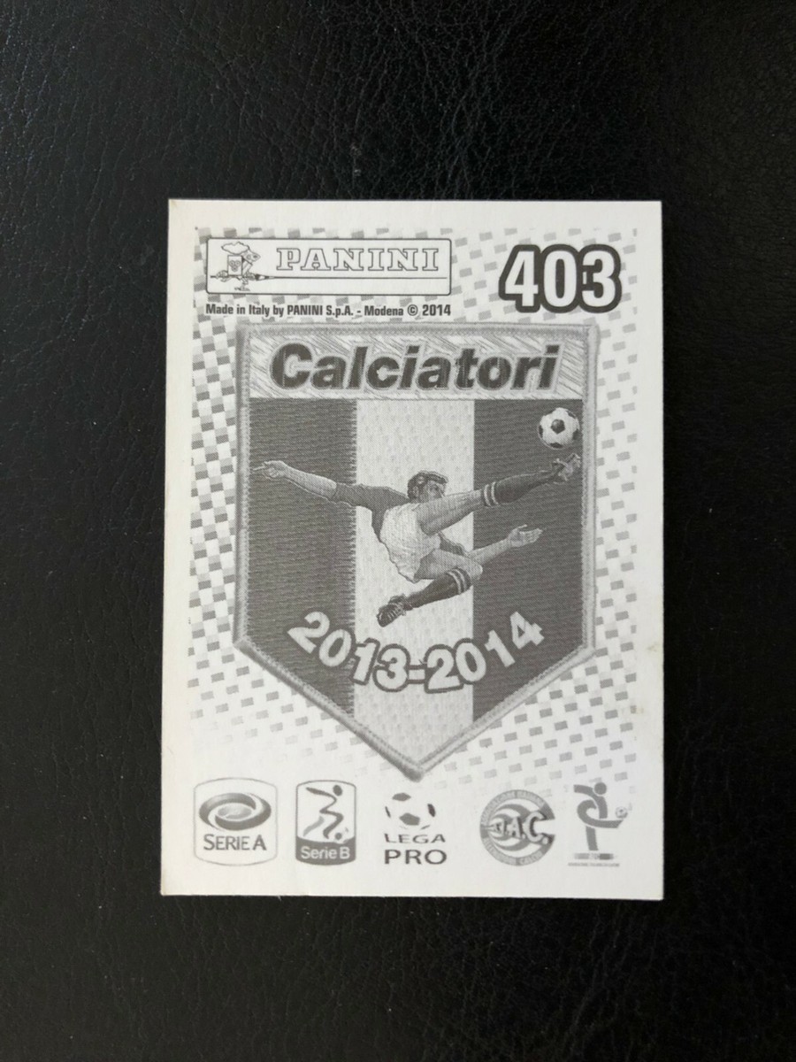 CALCIATORI PANINI SERIE A 2013 14 SQUADRA COMPLETA NAPOLI 29