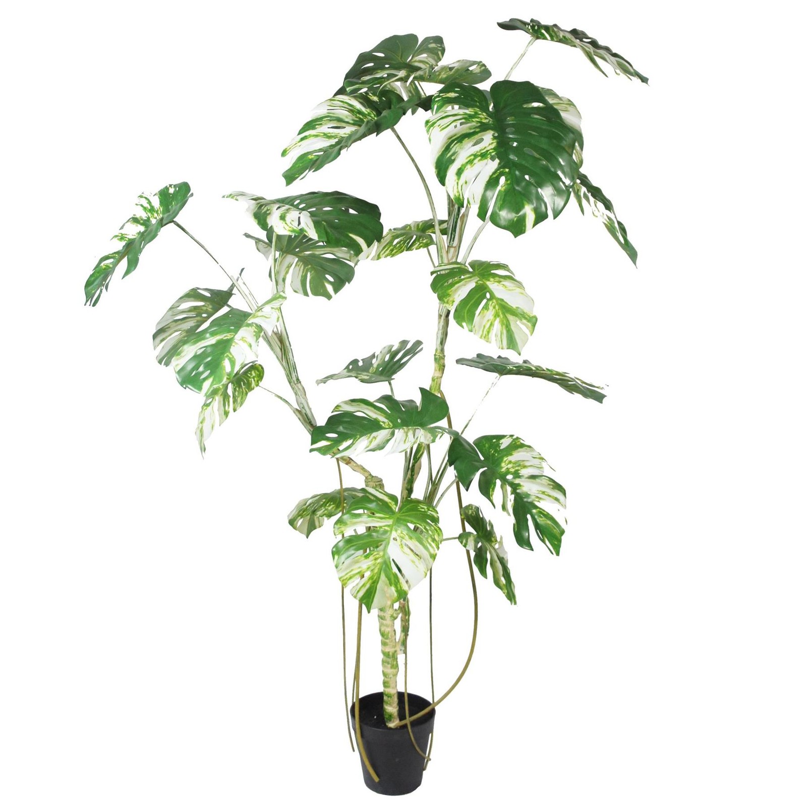 Artificial Monstera Tree Realistic Large Black 210cm (7ft) Premium Indoor Home