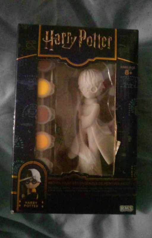 RMS Harry Potter Hermione Granger Fantasy Model Paint Set