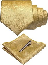 Mens Gold Paisley Necktie and Pocket Square with Tie Clip Sets54