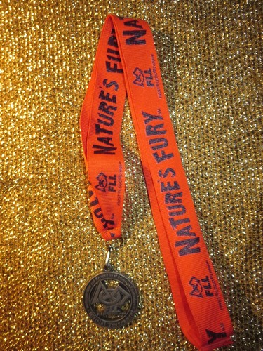 FLL First Lego League Official Tournament Medal - Picture 2 of 4