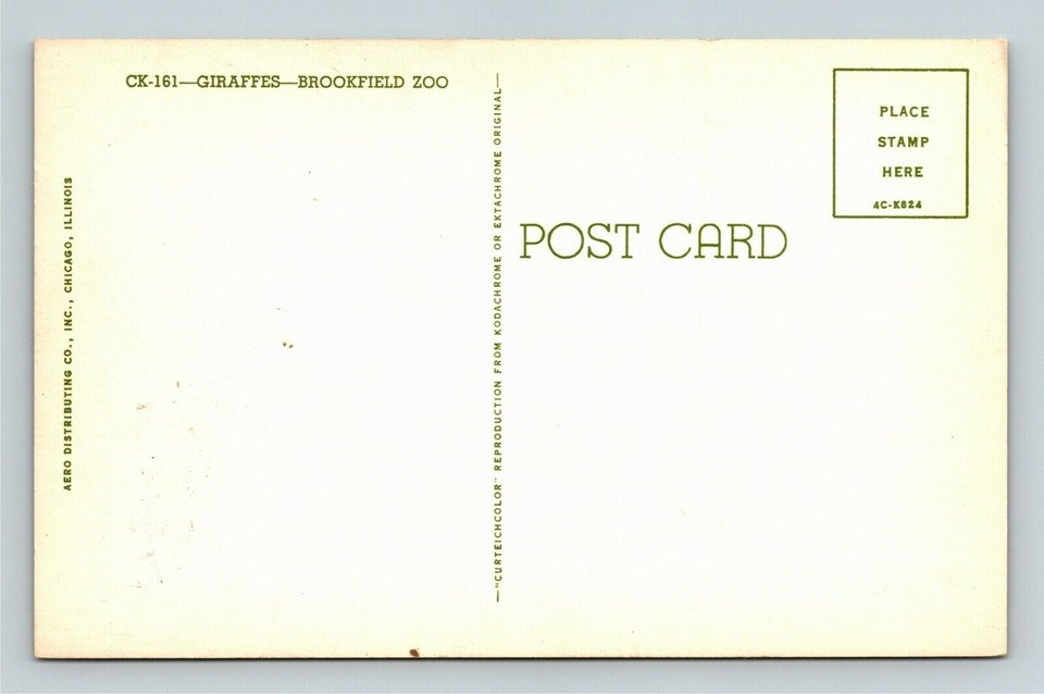 Brookfield ILIllinois, Brookfield Zoo, Giraffes, Vintage Postcard eBay