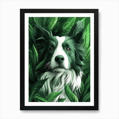 Border Collie Close Up Its Intelligent gerahmtes Wandbild Poster Leinwanddruck Bild