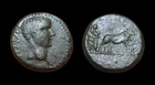 AE17 TIBERIUS (Priests w/ oxen) Alexandria - Troas