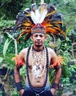 Native American Warbonnet Feathers Hat Pow Wow Indian Festival Costume Headdress