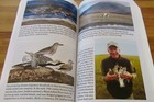 Picture 17 of 20