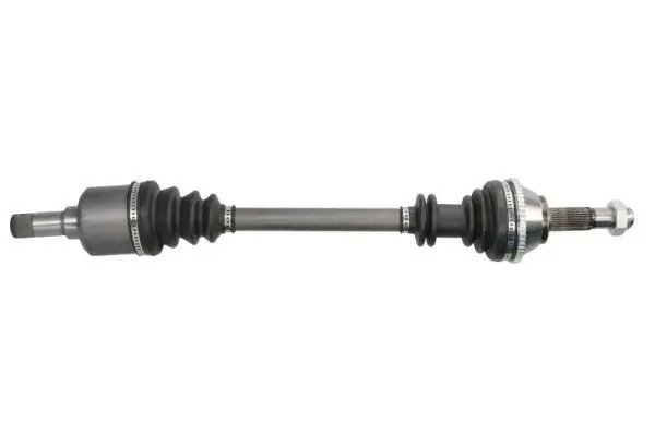 Pascal Albero Motore/Semiasse G2c017pc - Immagine 3