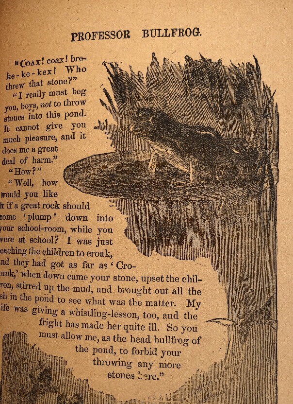 Vintage Animal Book Horse Animal Stories Series Charles E. Graham & Co. 0501 eBay