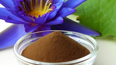 Blue Lotus Extract Powder 100:1